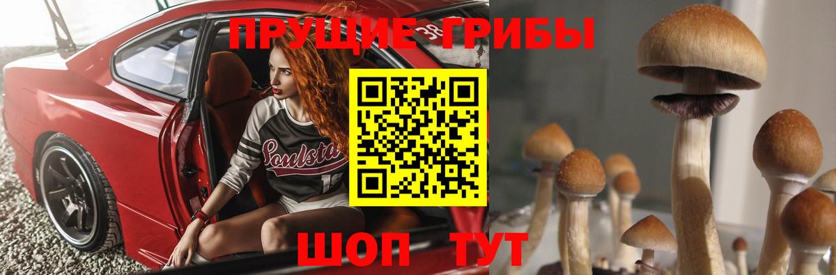 Псилоцибиновые грибы мухоморы  где купить наркотик  Россия  Вход с VPN  Псилоцибиновые грибы Psilocybe 